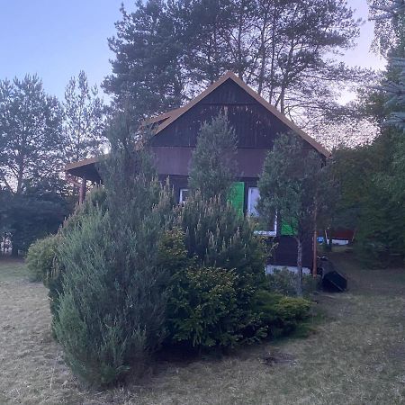 Dom Pod Sosnami Villa Rzewnie Екстериор снимка