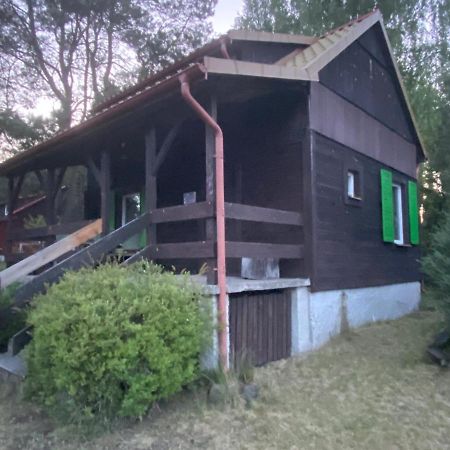 Dom Pod Sosnami Villa Rzewnie Екстериор снимка