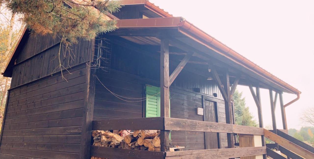 Dom Pod Sosnami Villa Rzewnie Екстериор снимка