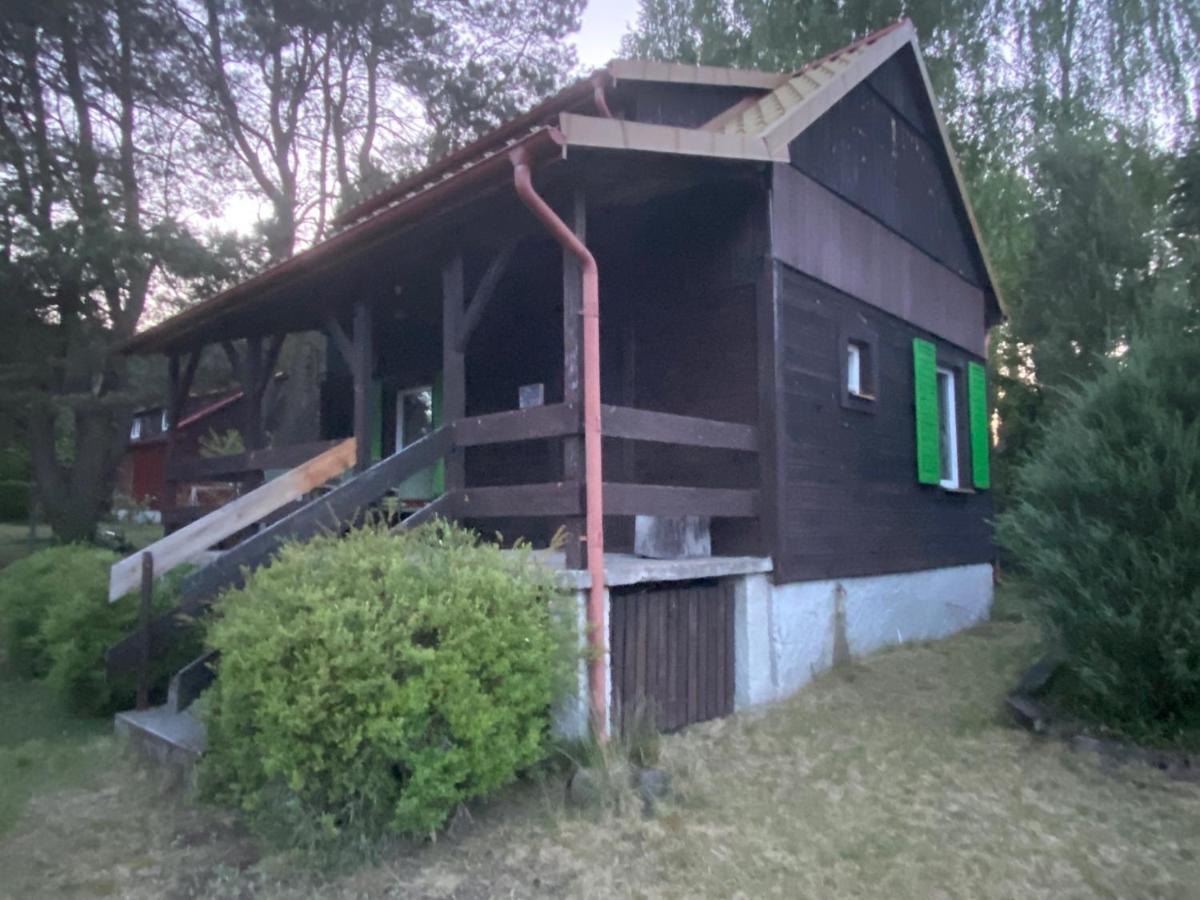 Dom Pod Sosnami Villa Rzewnie Екстериор снимка