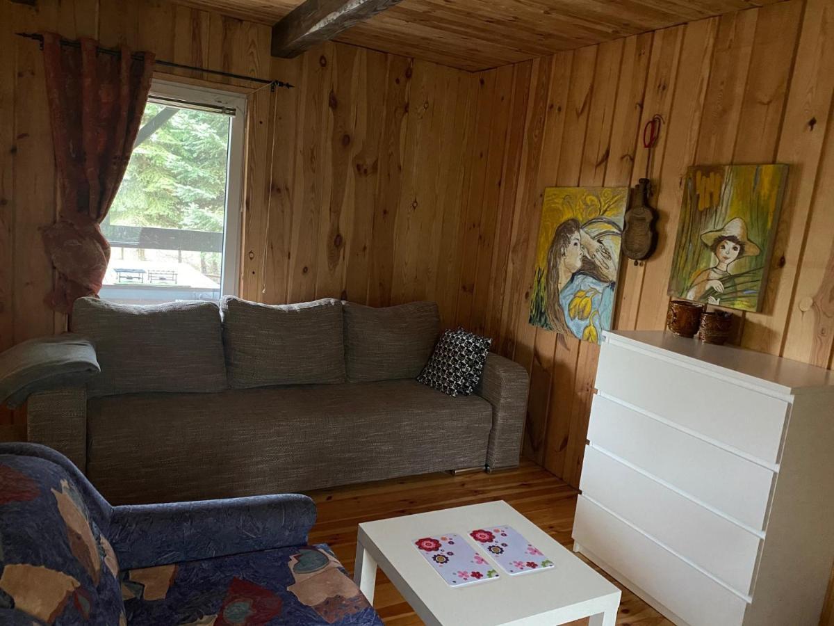Dom Pod Sosnami Villa Rzewnie Екстериор снимка