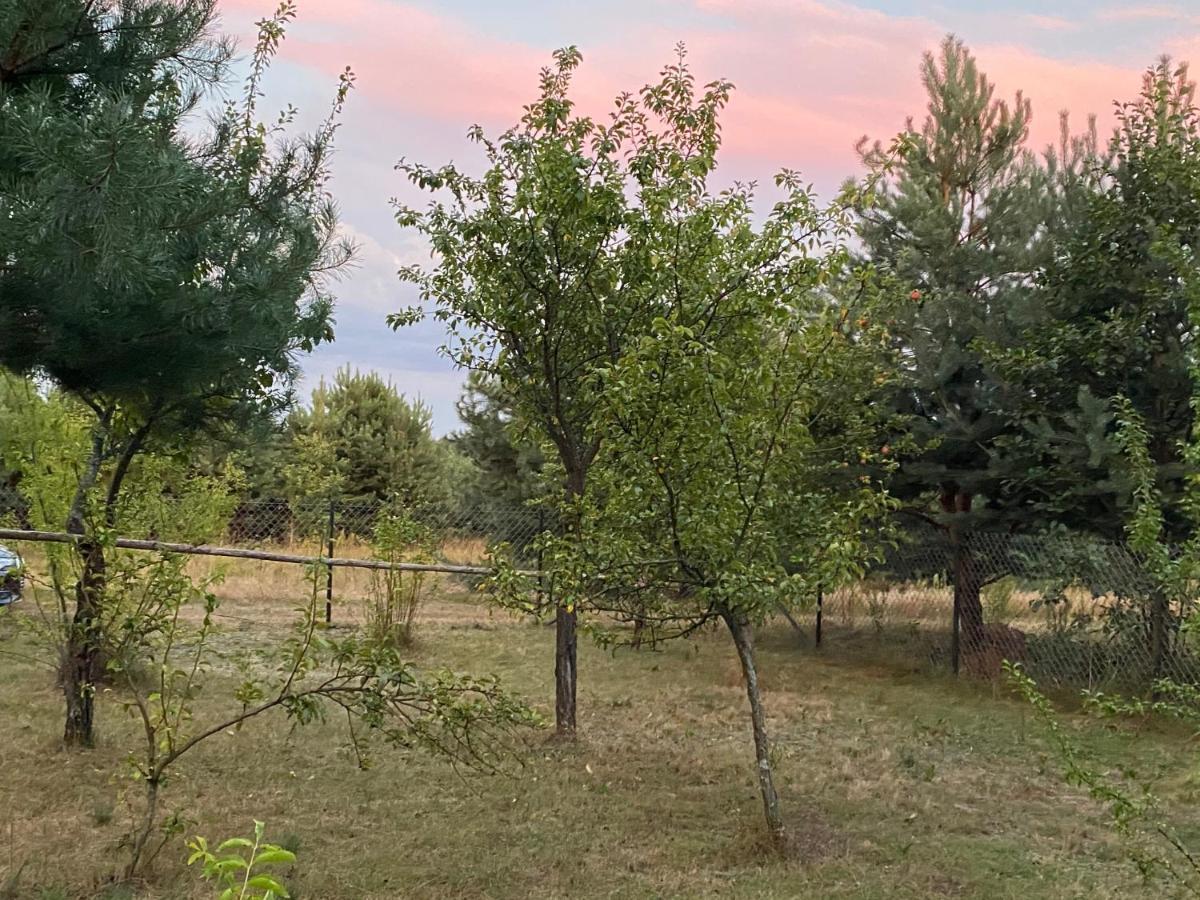 Dom Pod Sosnami Villa Rzewnie Екстериор снимка